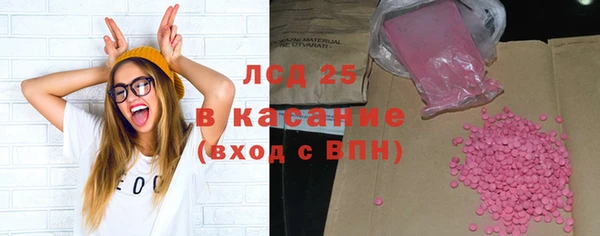 винт Лагань