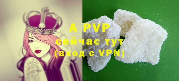 винт Лагань