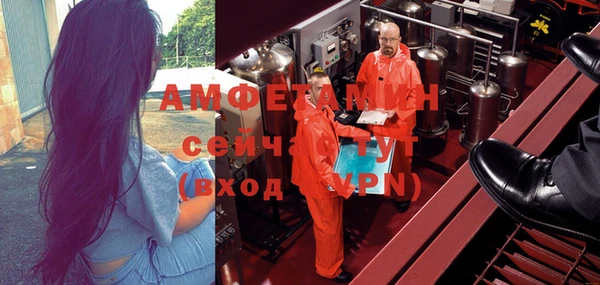винт Лагань