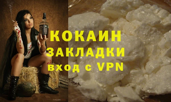 винт Лагань