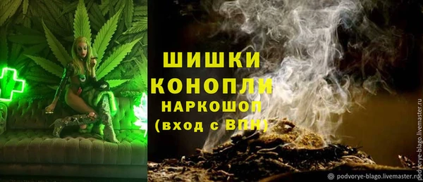 PSILOCYBIN Ладушкин