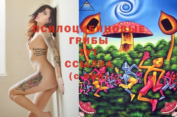 амф Лабытнанги