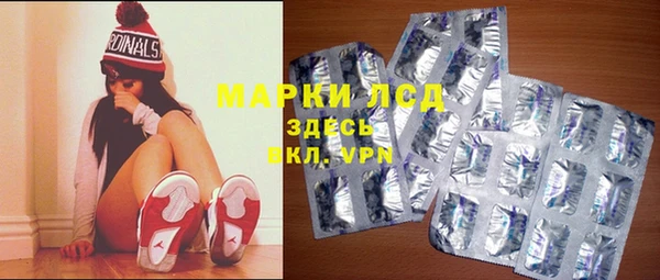 PSILOCYBIN Ладушкин