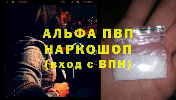 винт Лагань
